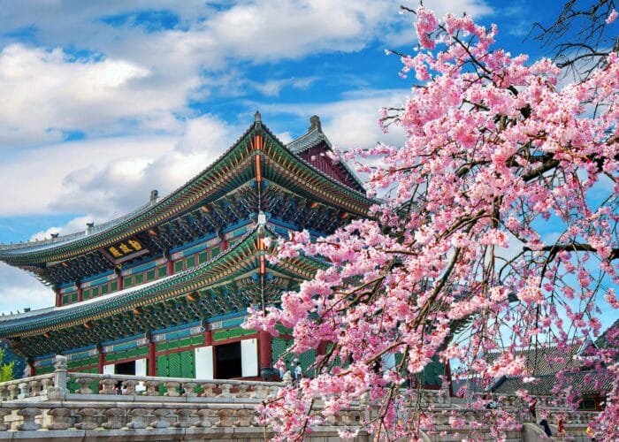 south korea tour package