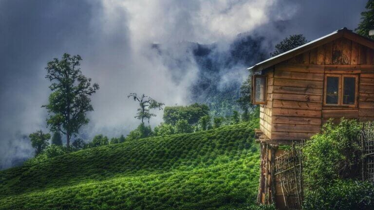 Sikkim Trip Cost – A Complete Budget Breakdown for 2025
