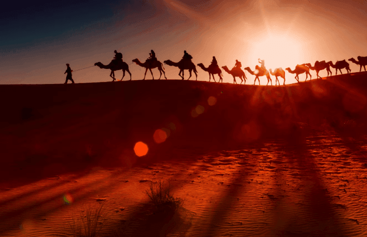 rann of kutch festival