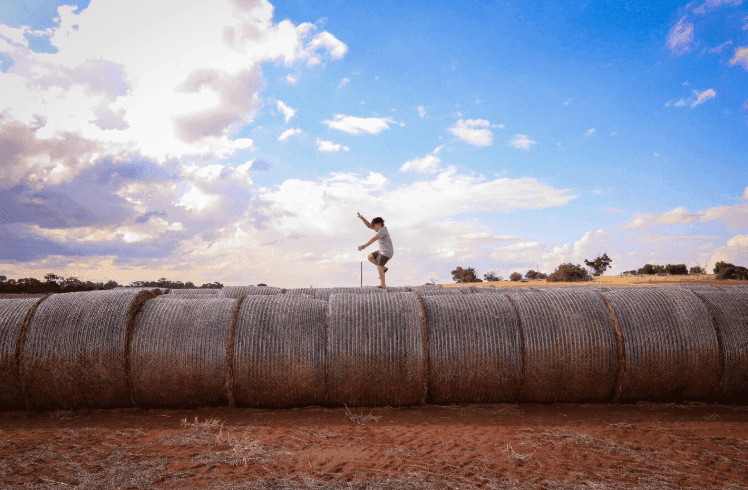 how to reach rann of kutch from delhi