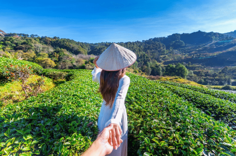 How to Travel in Vietnam: The Ultimate Guide for First-Time Visitors