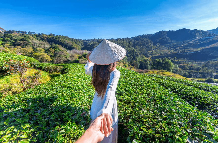how to travel in vietnam