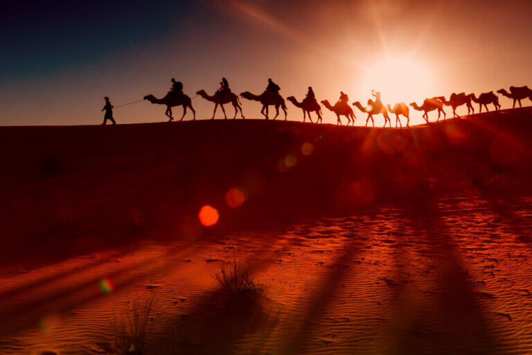 Rann Utsav Dates 2025–26: Complete Guide to Planning Your Trip