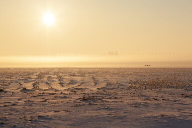 Best Time to Visit Rann of Kutch: Complete Guide for an Unforgettable Trip