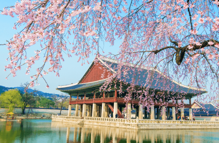 places in south korea