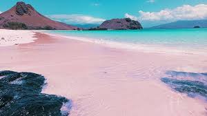 komodo island pink beach