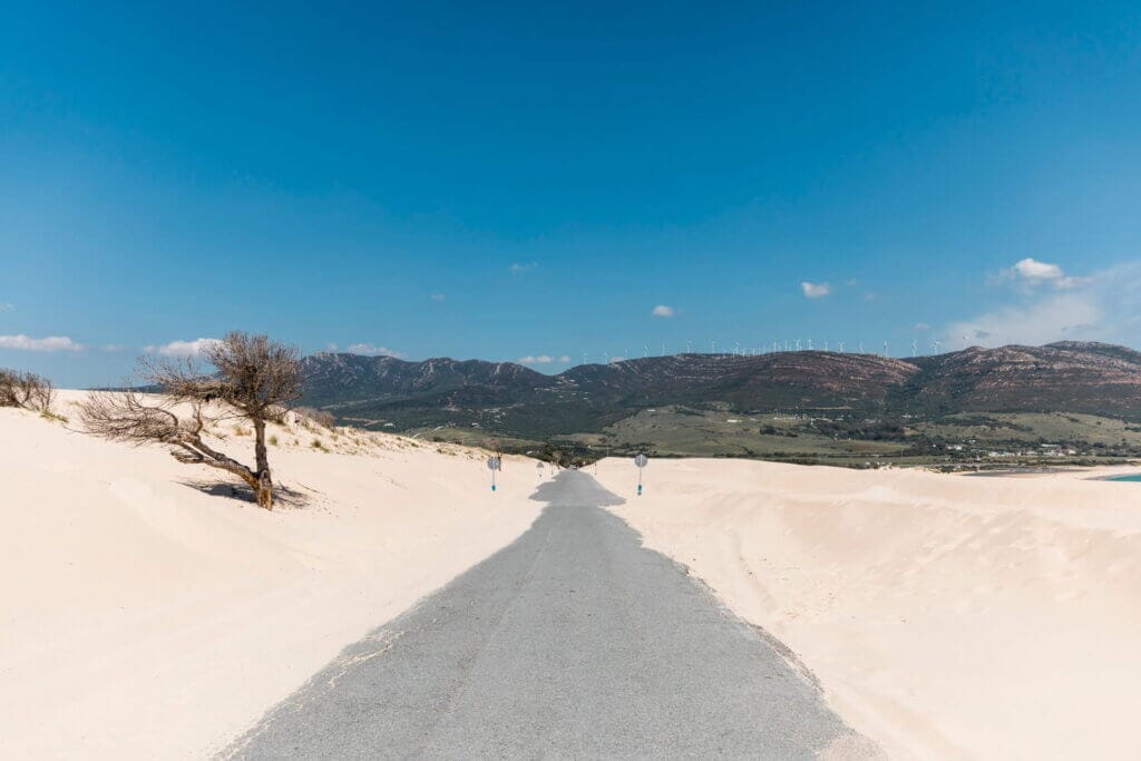Where Is Rann of Kutch? Your Complete Guide to Gujarat’s White Desert