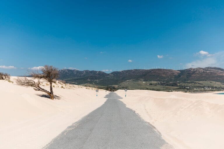 Where Is Rann of Kutch? Your Complete Guide to Gujarat’s White Desert
